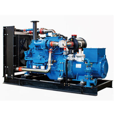 محرك توليد الغاز الطبيعي الـ Prime 300kW Weichai WP10D238E301NG